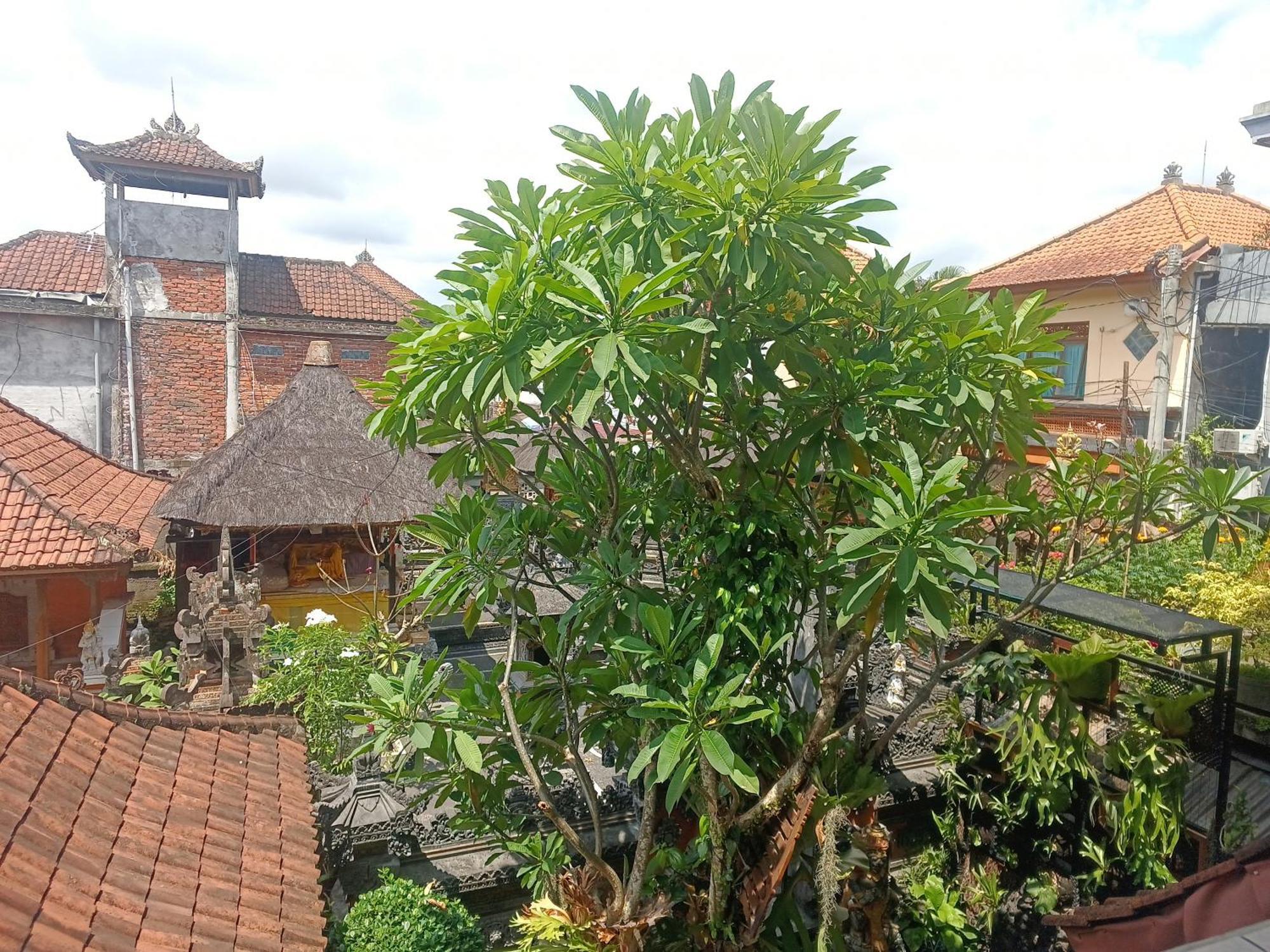 Arjuna Homestay Ubud Exteriör bild