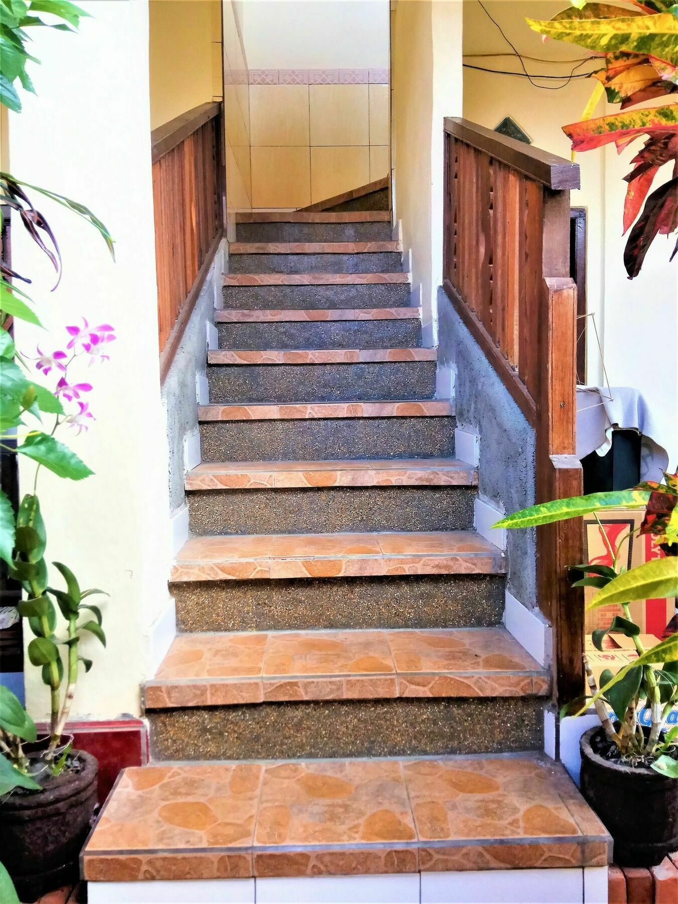 Arjuna Homestay Ubud Exteriör bild